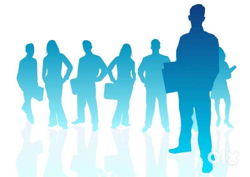 Business Onboarding Executive