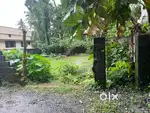Tr.  5,5 cent house, Plot kakkanad vazhakkala