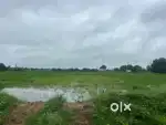 Agriculture land for sale