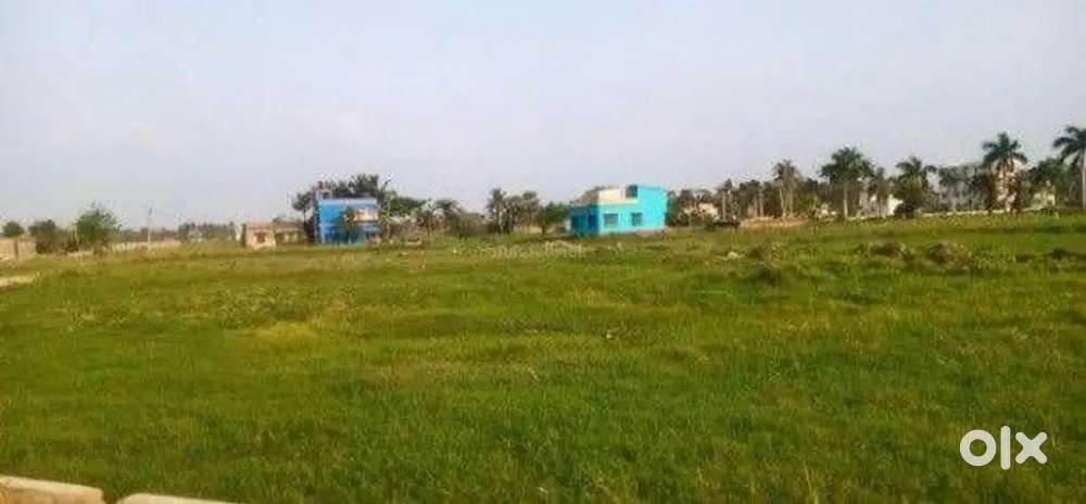 Residential plot