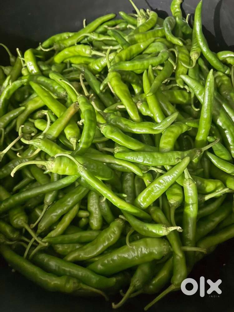 Organic green chilli