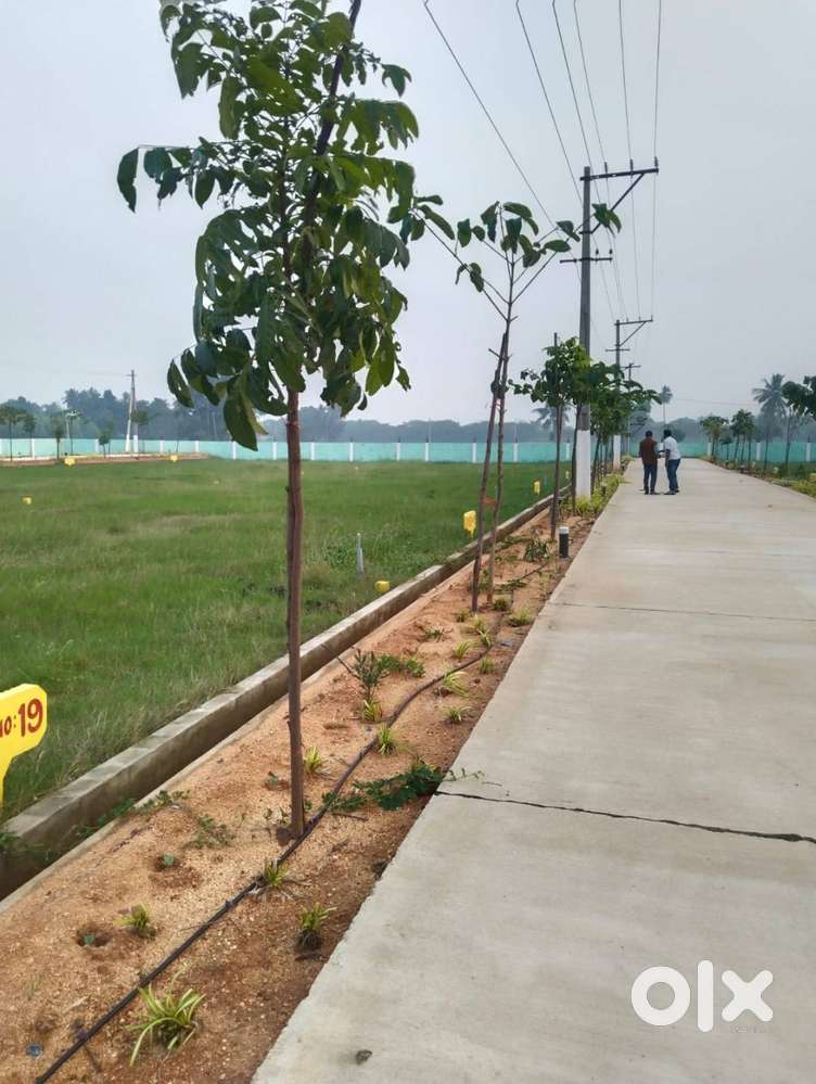 Divya Green City,A TUDA-approved project