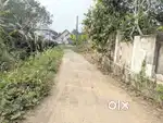 House plot 13 cent near Ettumanoor -Kanakkarry 3.5 lakh/cent