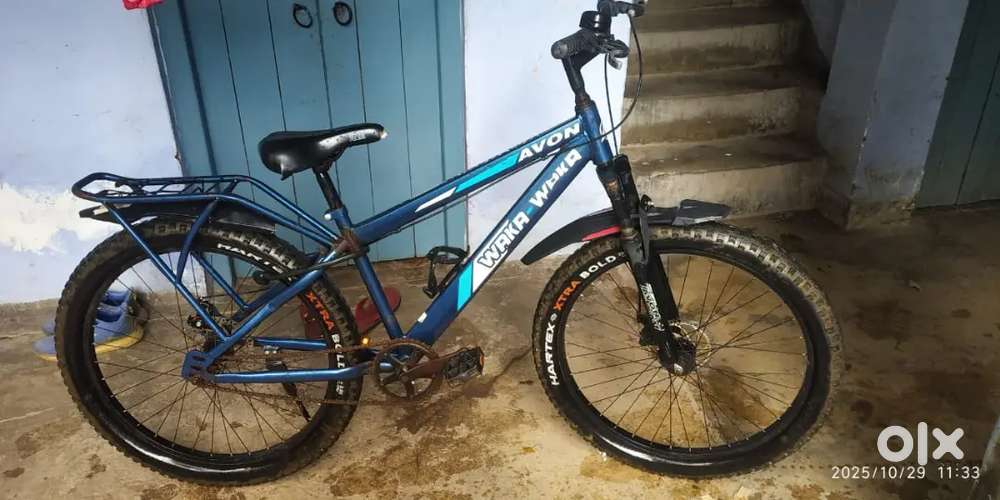 Avon cycle mint condition