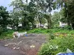 House Plot in Kozhikode - Kunnamangalam