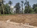 Ezhikara 20 rent for sale rent 3 lakh