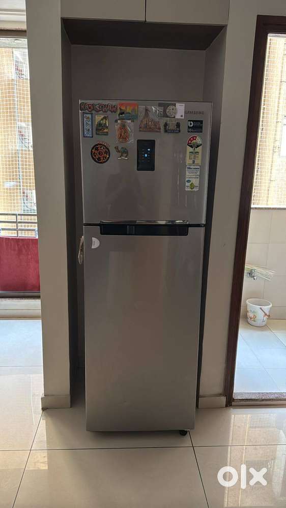 Samsung 275L Frost Free Double Door Refrigerator (Elegant Inox)