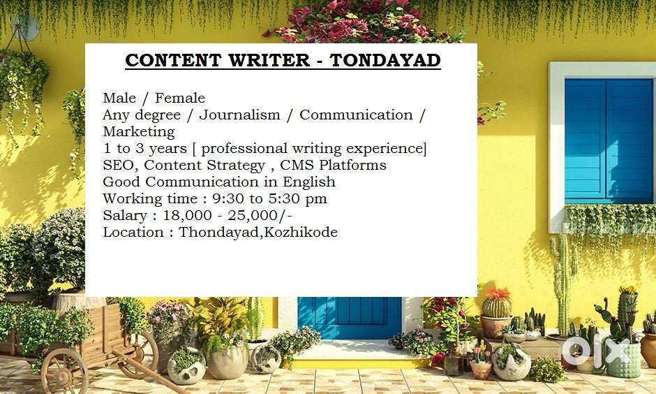 CONTENT WRITER - TONDAYAD