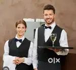 Wanted waiters/stewards ( male & female ) in kadapa and tadepalligudem