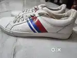 Topman Sneaker imported from UK