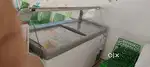 Freezers for sale