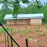Emergency land for sale at boro lingri