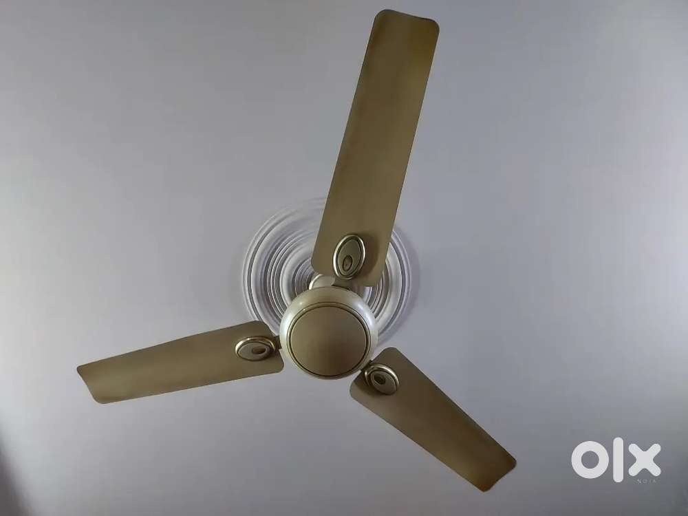Havells Ceiling Fan