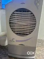 4 year old cooler