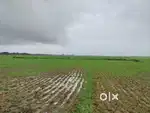 Gharabari plot for sale