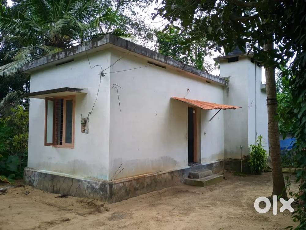 10 സെന്റ് സ്ഥലവും വീടും വില്പനക്ക് (Mannar, kurattikkadu)