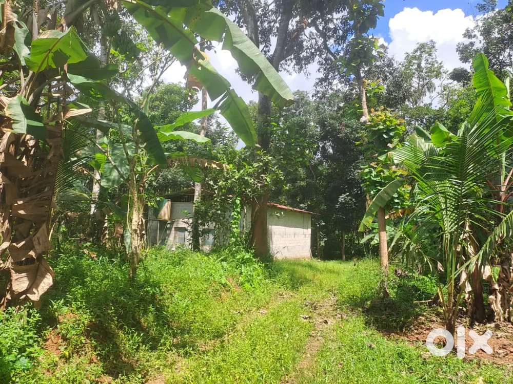 60 cents plot for sale near Poovattor west