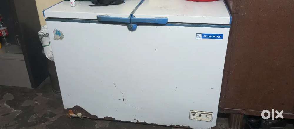 Blue Star fridge