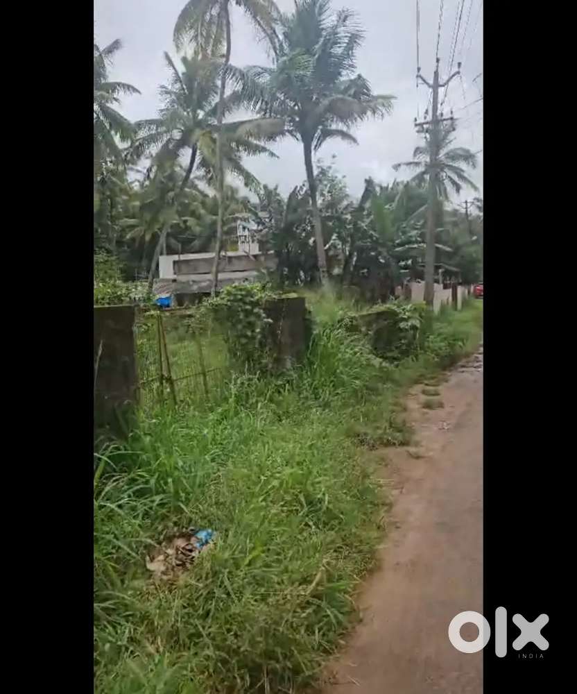 [52 CENTS] - 3.75 LAKHS/CENT 5 Km Distance From PEROORKADA JN