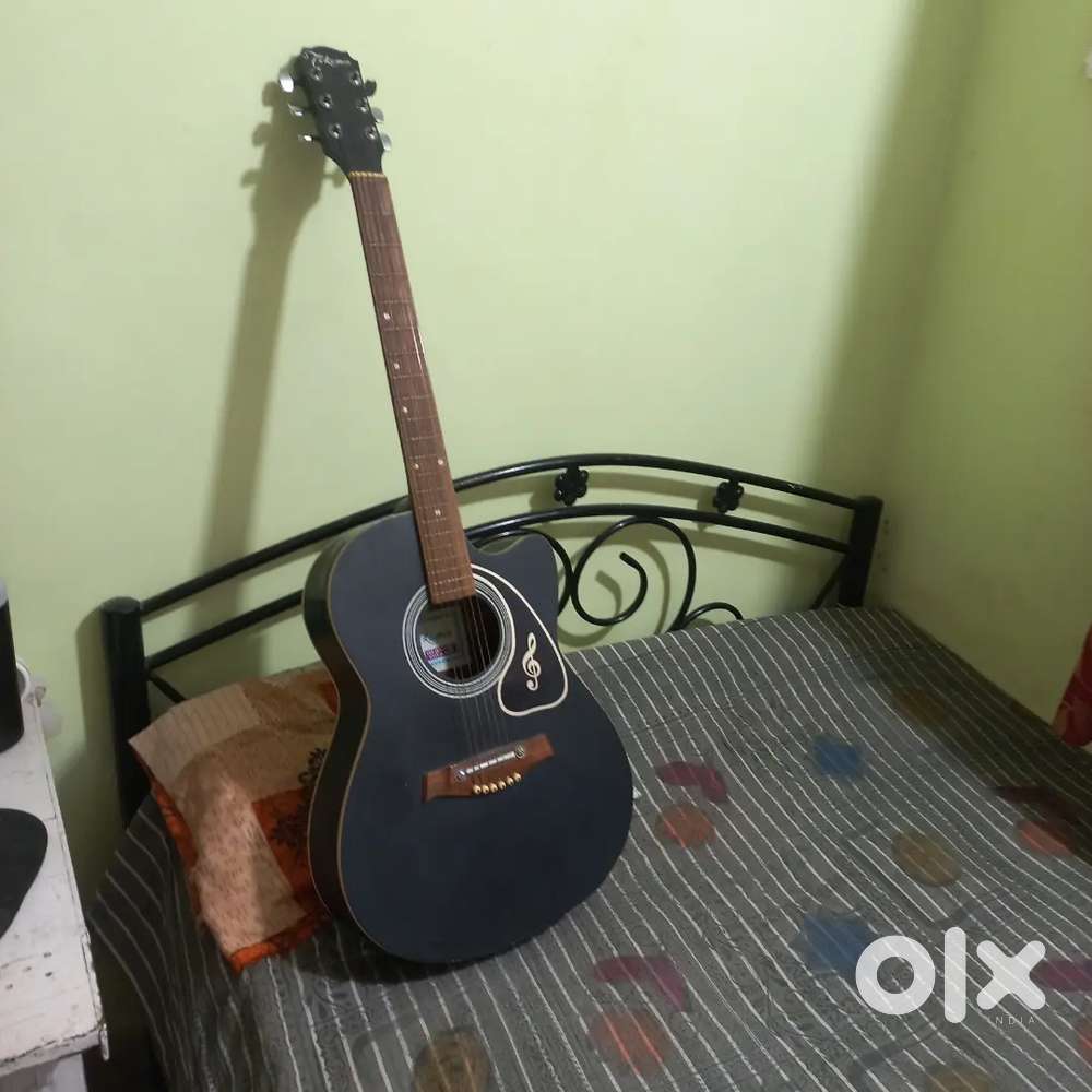 Guitar with bag cover