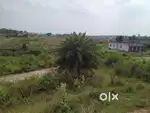 CNT free registurd plot. Near Gamharia railway station