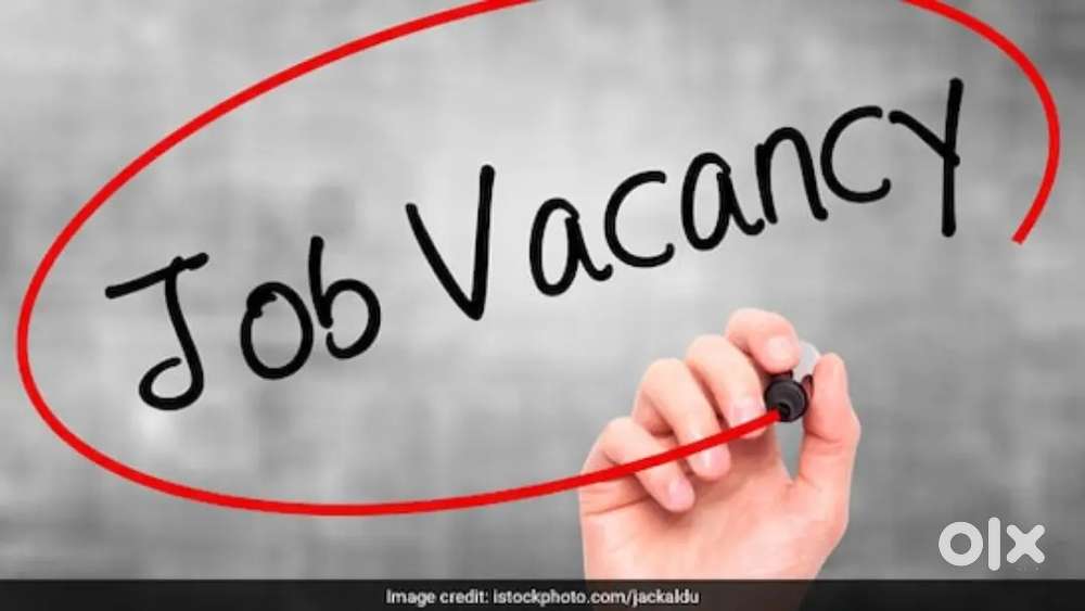 Field Work Survey job