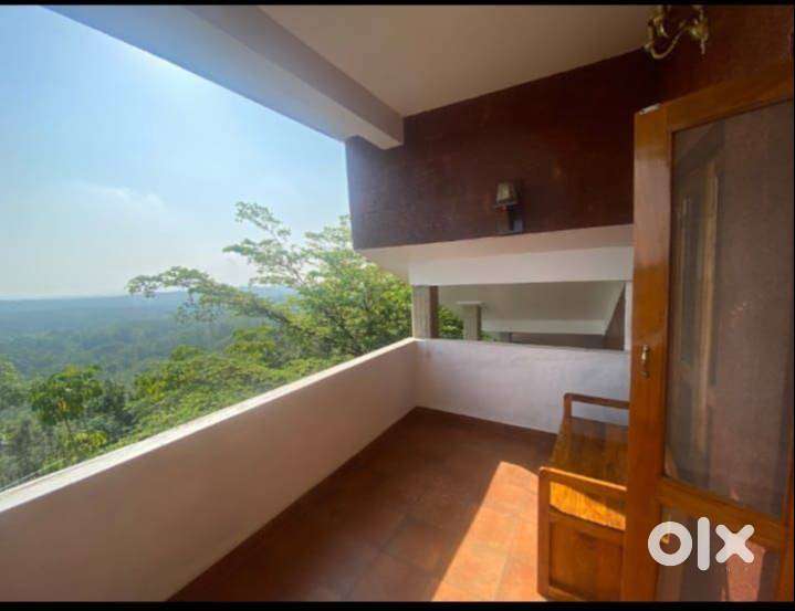 10 Acre Premium Coffee Estate with Luxury Villa & Modern Infrastructur