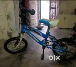 Bicycle  blue colour