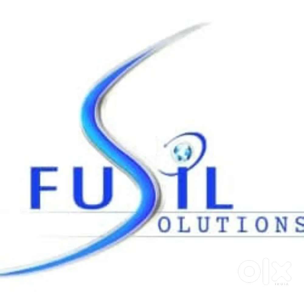 Software Support Executive