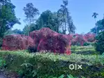 House plot for sale