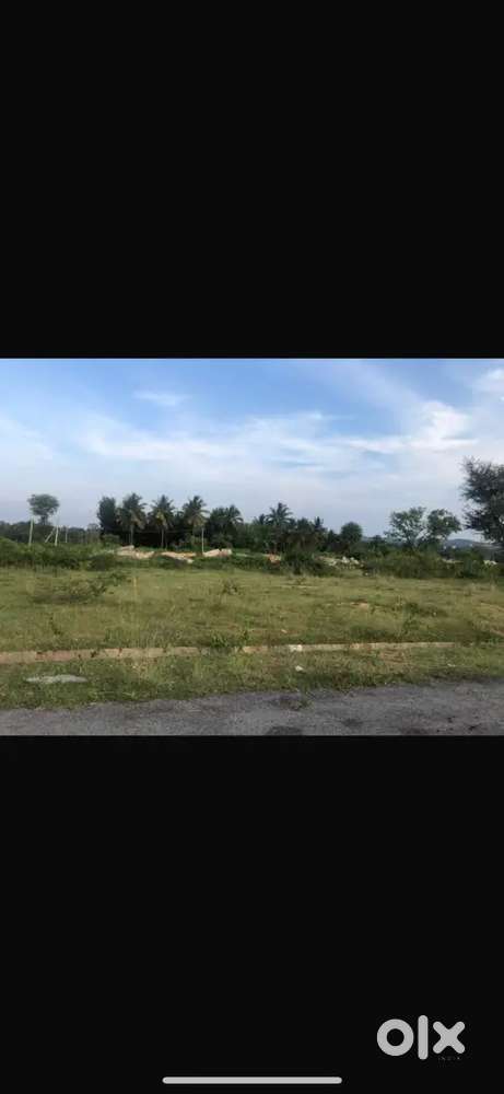 site at ajjanahalli of taverekere hobli Bangalore south taluk