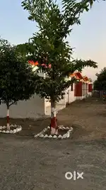 Balaji Group