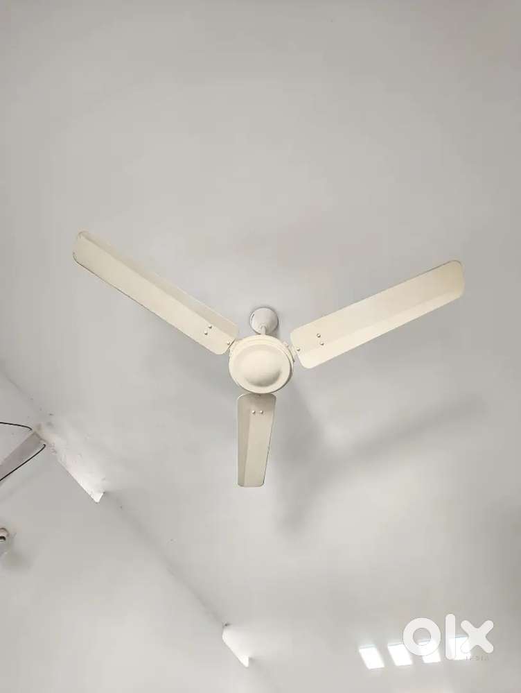 Crompton Ceiling Fans in excellent condition (used)