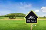 Build your Dream Farmhouse