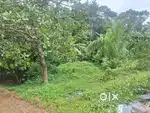 Thirumarady town 50 mtr only north face 17 cent houseplot Open well