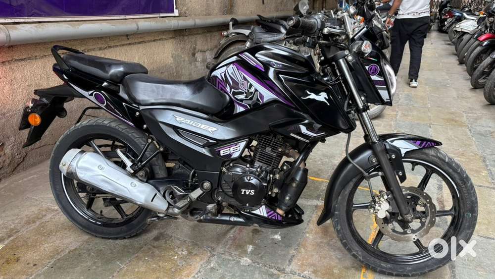 ALL NEW CONDISON 2024 MODAL EDISON MODAL