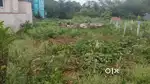 *Land for Sale*