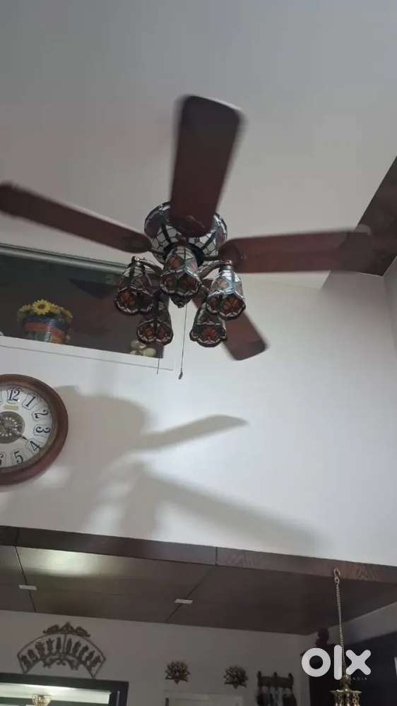 Ceiling fan