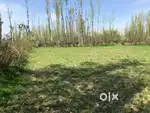 I want to sell my land measuring 1 kanal 17 marlas at syedpora hamchi