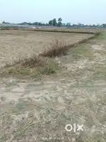 Patra Bazar se pahle  , main road aur 4 lane se 300 mtr