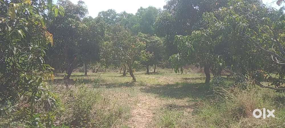 NH 48 to only 400 MTR inside agriculture property on sale negotiable