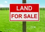 Road side land