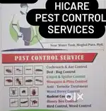 Termite services cockroach services