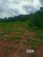 House plot for sale in Elappully, Palakkad