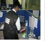 Office boys required