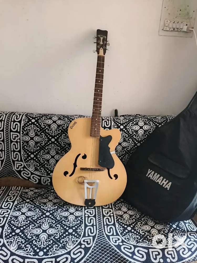 Gitar holo
