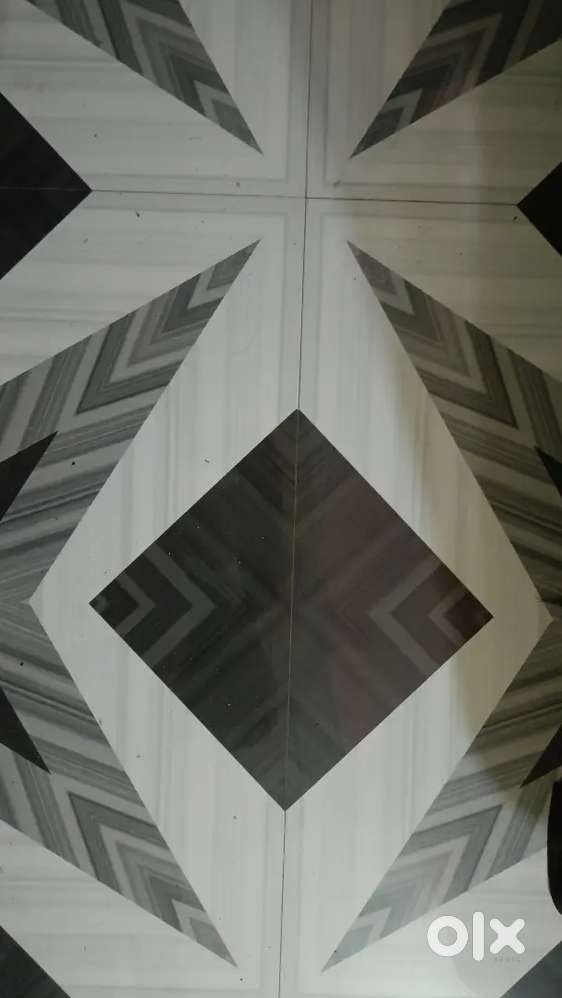 Need a room partner student only