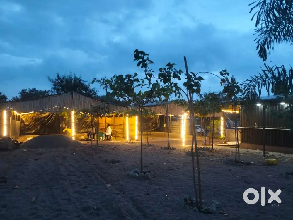 Need Tea and shakes Master