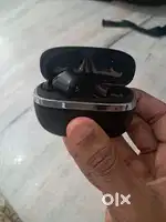 Nirvana ion (only one bud)