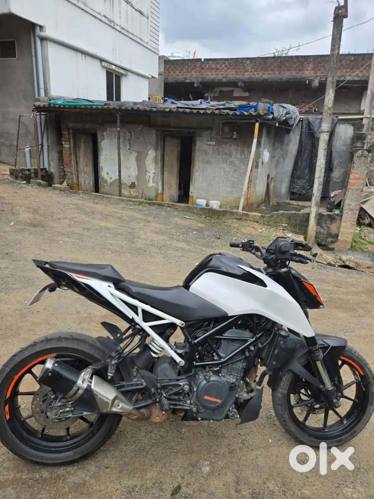 Duke 390 *2020*